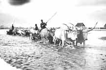 flood