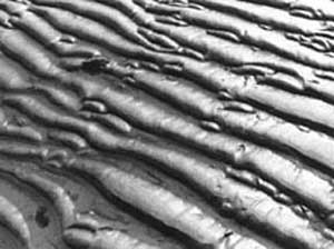 ripples