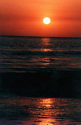 sunset