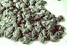 green frogs